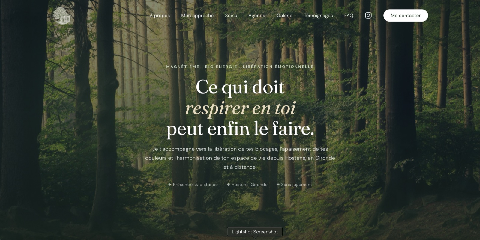 Capture du site Respire Magnétisme